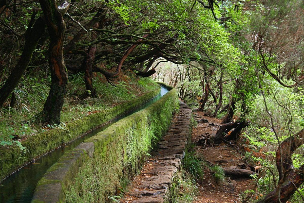 Вилла Moradia Ponte De Pedra Сан-Висенти Экстерьер фото